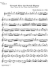 Ground After the Scotch Humor - Violin 1