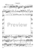 Seven Shards - Flute 3