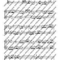 Sonata e minor - Performing Score