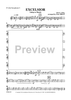 Excelsior - Alto Saxophone 2