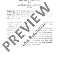 Piano Trio G minor - Full Score