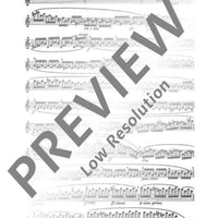 The Flutist's ”Non plus ultra“