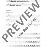 Systematische Violintechnik