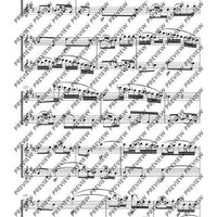 Duo D major - Performing Score