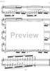 Essays on the forgotten Rhythms Op.28