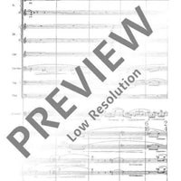 Concerto per contrabbasso ed orchestra - Full Score