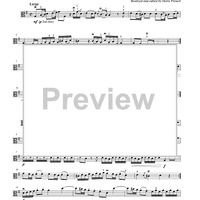 Suzuki Viola School, Volume 5 - Viola Part