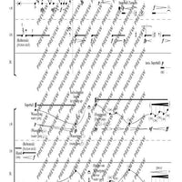 Voi(es)x métallique(s) - Performing Score