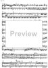 Fantasia terza - Score