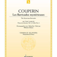 The Mysterious Barricades