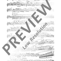 The Flutist's ”Non plus ultra“