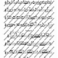 Fantasias and Scherzi