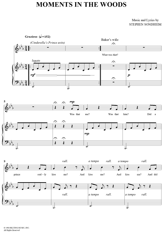 Moments in the Woods