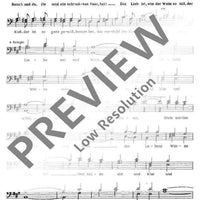 Der Zigeunerbaron - Tenor / Bass