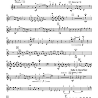 Magic of the Great Lakes - Violin 1