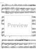 Concerto No. 2 C Major KV314 - Score