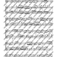 Duo concertant C major - Performing Score