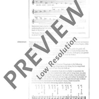 The Modern Recorder Player