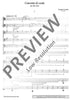 Concento di corde - Performing Score