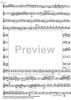 Sextuor pour la fin du 20ème Siècle or Variations on a theme by F. Schubert - Flute 3/Piccolo