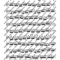 Variationen über „Nel cor più non mi sento“