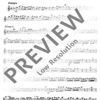 Concerto A minor - Set of Parts