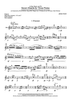 Seven Shards - Flute 3
