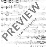 Il Vitalino raddoppiato - Violin