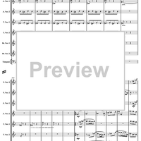 Allegro vivace -  from concerto N°3 for piano - Score
