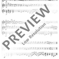 Musik der Wiener Klassik - Performing Score