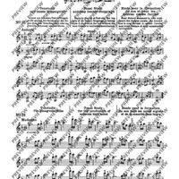 100 Short Technical Paraphrases on Kayser's Etudes