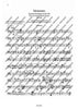 Orchestra Studies