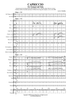 Capriccio - Score