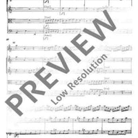 Concerto C Major - Full Score