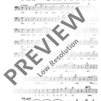 Rosen aus dem Süden - Bass I