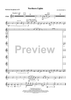 Northern Lights - Baritone Saxophone