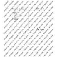 Concerto A minor - Set of Parts