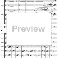 Allegro vivace -  from concerto N°3 for piano - Score