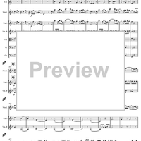 Concerto for Mandolin and Orchestra in F major - Score