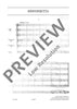 Sinfonietta - Full Score