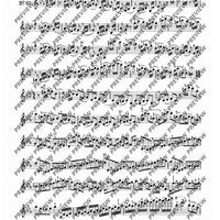 100 Technical Paraphrases on Kreutzer-Etudes