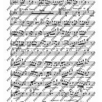 2. Concerto in C - Set of Parts