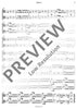 Concerto Grosso - Violin/Double Bass