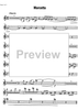 Concerto - Flute