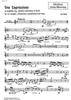 Trio Capriccioso - Vibraphone