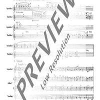 The Christmas Story - Recorder