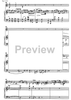 Concerto for guitar and strings - Score