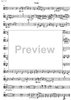 Jubilee Concerto for Celeia - Viola