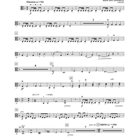 Warrior Legacy - Viola