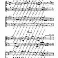 The Flourishing Baroque Period - Performing Score